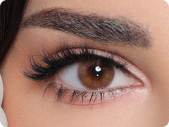 لومينوس كوفي